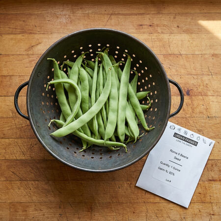 Roma II, Bean Seeds - Packet (1 oz.) image number null